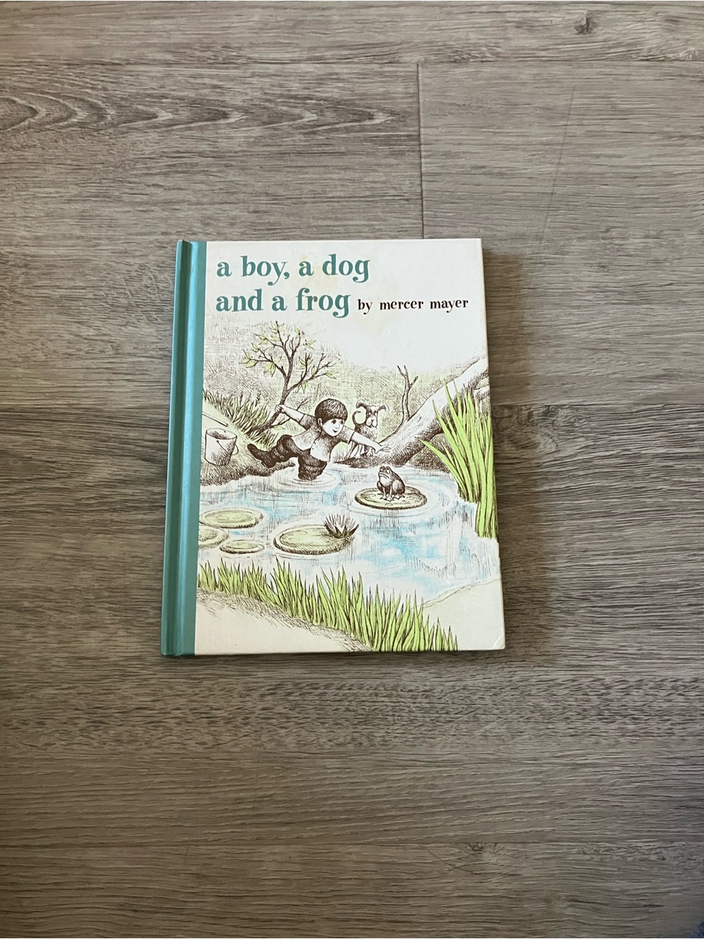 3/$15 A Boy, a Dog and a Frog by Mercer Mayer